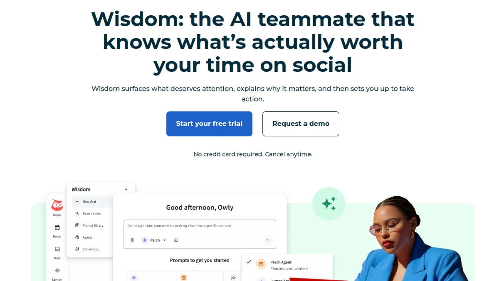 Hootsuite Wisdom official website interface screenshot
